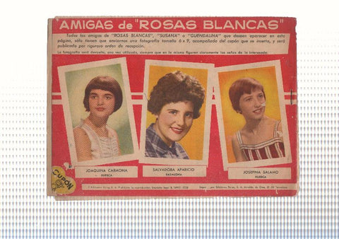 Rosas Blancas numero 073: Alfonso y sus muchachos