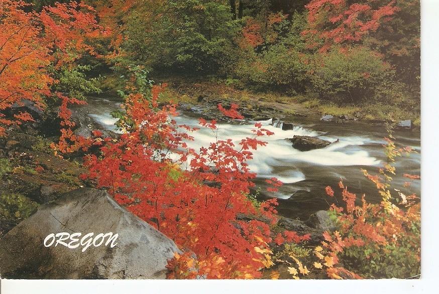 Postal 041196 : A beautiful autumn splendor on one Oregons manr river