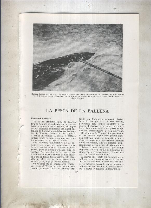 La pesca de la ballena