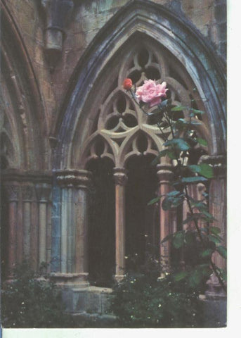 Postal 014414: Calado del claustro gotico del Monasterio de Poblet