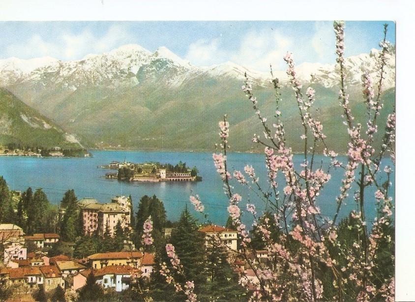 Postal 033873 : Stresa (Lago Miaggiore)