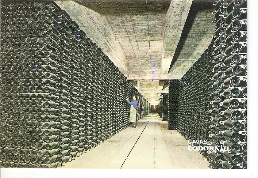 Postal 033967 : Cavas Codorniu. Botellas envejeciendo