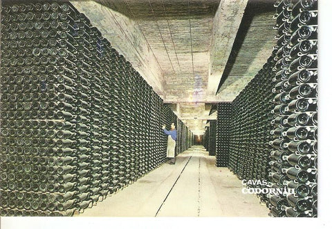 Postal 033967 : Cavas Codorniu. Botellas envejeciendo