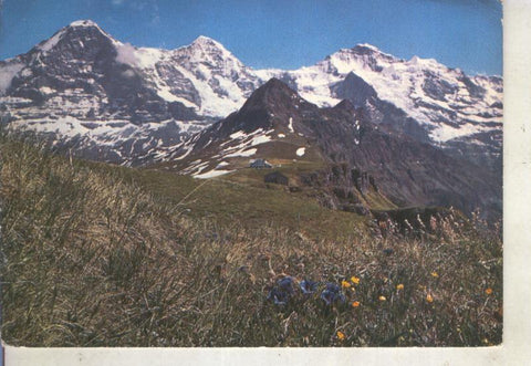 Postal 014885: Mannlichen, Eiger, Munch und Jungfrau