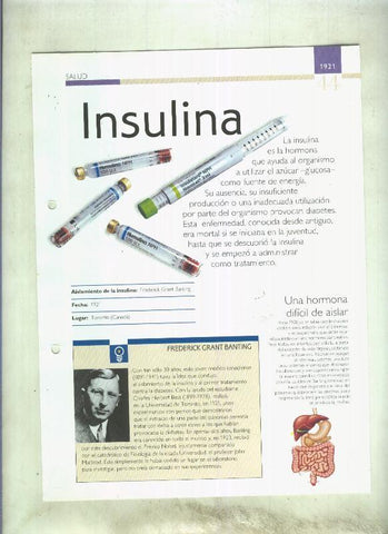 Insulina:  son 4 paginas y 