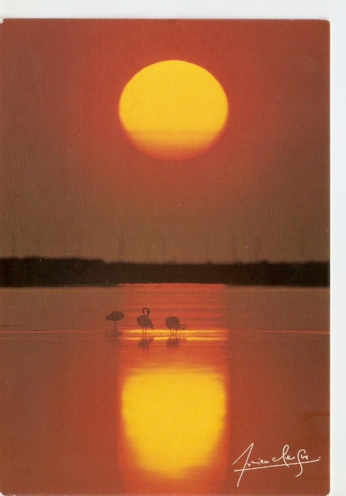 Postal 034640 : Crepusculo