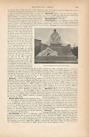LAMINA ESPASA 11697: Monumento a Brahms en Viena