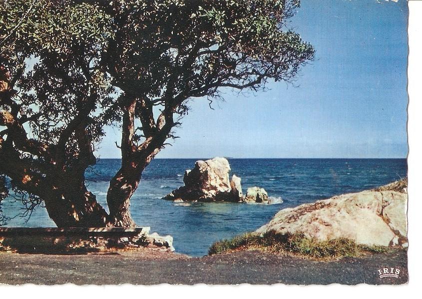 Postal 042548 : Nouvelle Caledonie. Noumea: Le Rocher a la Voile