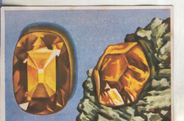 Cromos: Historia Natural numero 087