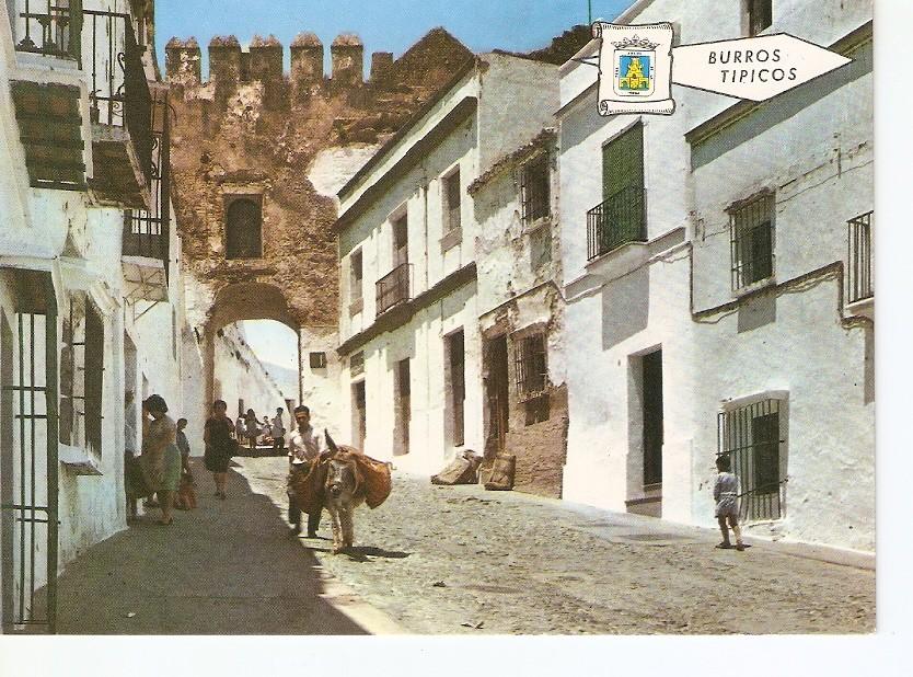 Postal 028652 : Burros tipicos