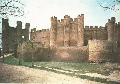 Lamina 0066: Castillo de Valencia de Don Juan (Leon)