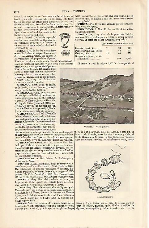 LAMINA ESPASA 12195: Vista general de Urnasch Suiza