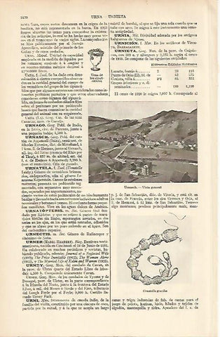 LAMINA ESPASA 12195: Vista general de Urnasch Suiza