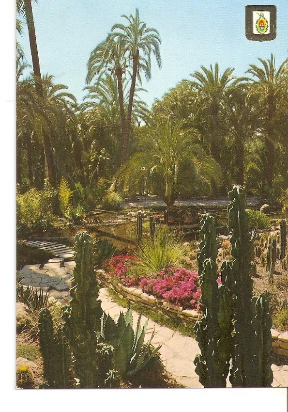 Postal 030306 : Elche (Alicante). Huerto del Cura. Vista de la Rocalla y el Lago