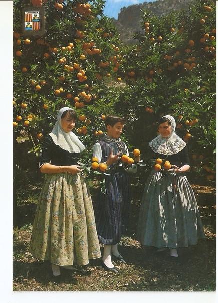 Postal 046969 : Mallorca tipica. Entre naranjos