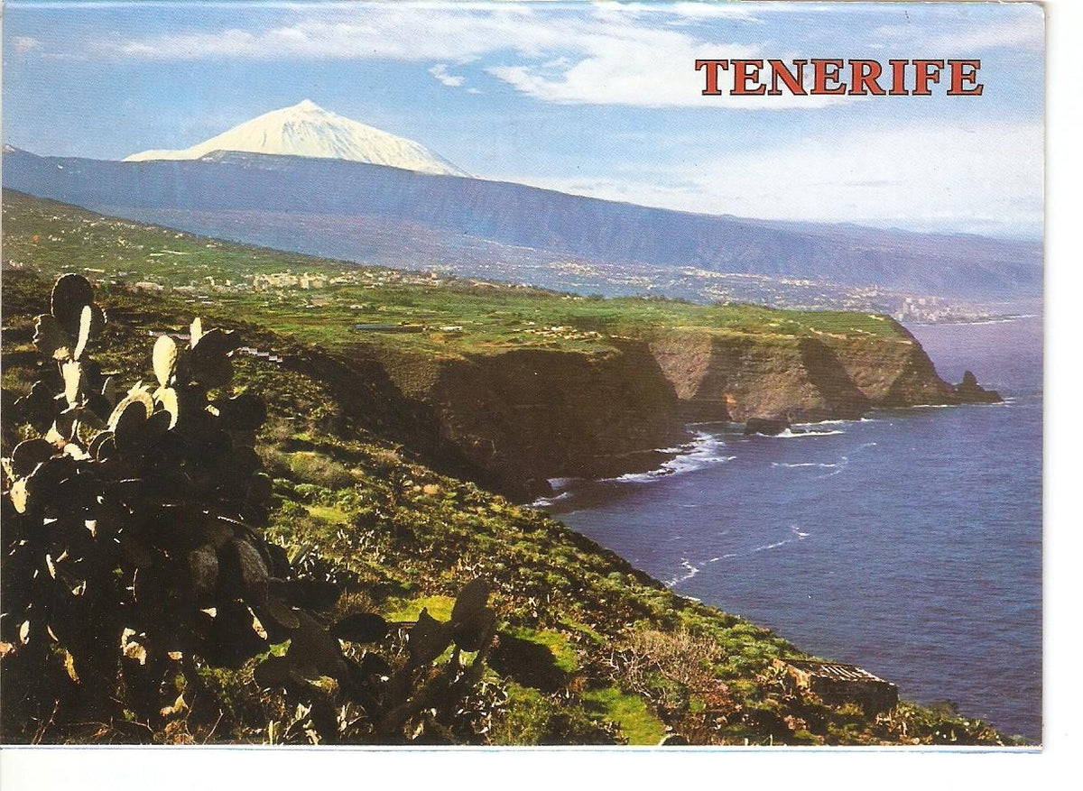 Postal 038564 : Tenerife. Litoral del Norte