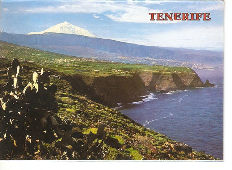 Postal 038564 : Tenerife. Litoral del Norte