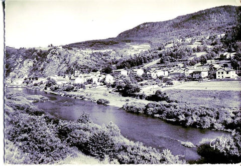 Postal 16382: CHAMALEIRES SUR LOIRE - Vista general