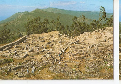 Postal 046488 : Monte de Santa Tecla - la Guardia (Pontevedra). Castro Celta