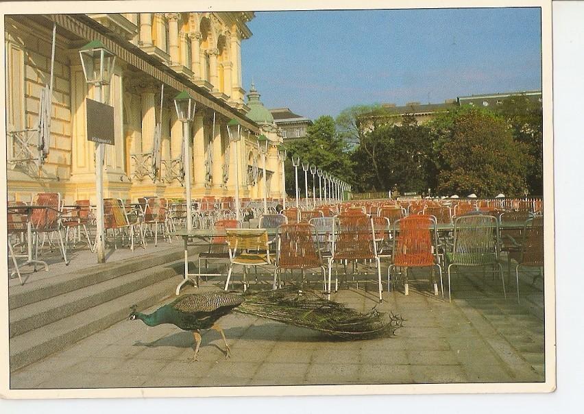 Postal 037186 : Vienna. Cafe Hubner Stadtpark
