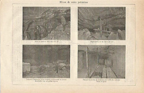 LAMINA ESPASA 17250: Minas de sales potasicas