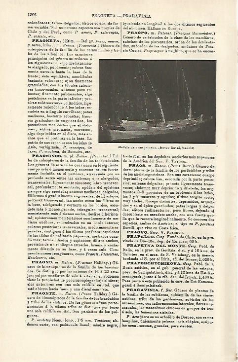 LAMINA ESPASA 17306: Modelo de prao joloano en el Museo Naval de Madrid