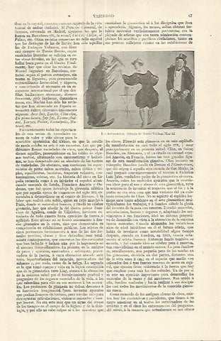LAMINA ESPASA 17324: Los hermanitos dibujo de Marchi