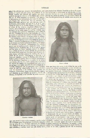 LAMINA ESPASA 17374: Hombre y mujer vedda Sri Lanka