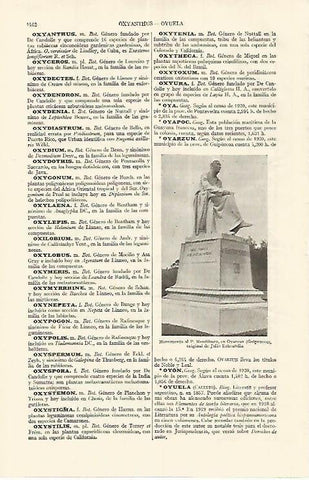 LAMINA ESPASA 17481: Monumento a Mendiburo en Oyarzun Guipuzcoa
