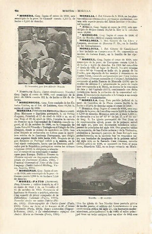 LAMINA ESPASA 17656: Castillo de Morella Castellon
