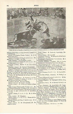 LAMINA ESPASA 17678: Fiesta de toros en España. Caricatura