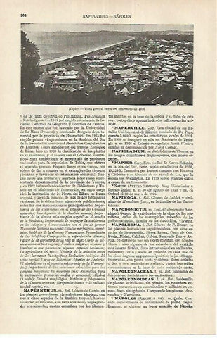 LAMINA ESPASA 17686: Vista de Napier