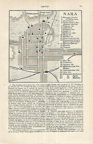 LAMINA ESPASA 17687: Plano de Nara