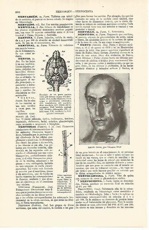 LAMINA ESPASA 17692: Amado Nervo por Vazquez Diaz