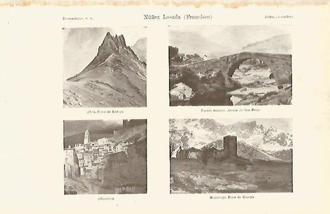 LAMINA ESPASA 17703: Cuadros de Francisco Nuñez Losada