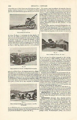 LAMINA ESPASA Alemania 17706: Obus de Italia Alemania y obus Ordoñez
