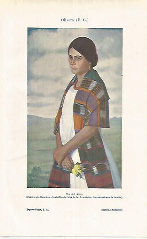LAMINA ESPASA 17711: Flor de campo por E. G. Olivera