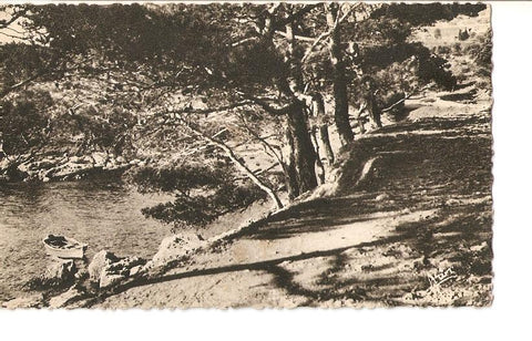 Postal 027090 : Bandol - Chemin de Capeland