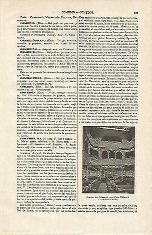 LAMINA ESPASA 14543: Comedor del Kaiser Wilhelm II