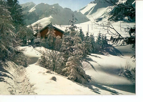 Postal 029487 : Sports dhiver en Auvergne Le chaled tu blub alpin au pied du Sancy 