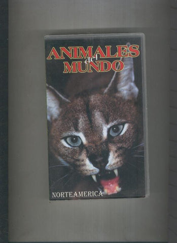 Video VHS: Animales del mundo: Norteamerica