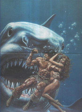 POSTER CONAN: Numero 16 (40cm x 27,5cm)