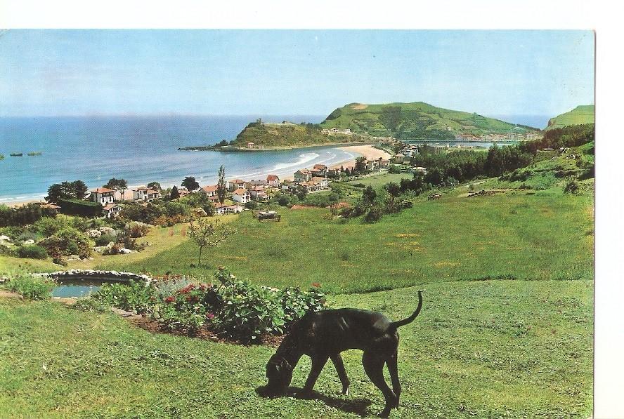 Postal 030515 : Ribadesella (Asturias). Vista parcial y playa