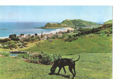 Postal 030515 : Ribadesella (Asturias). Vista parcial y playa