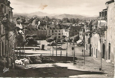 Postal 51055: OLORON - Mercadillo