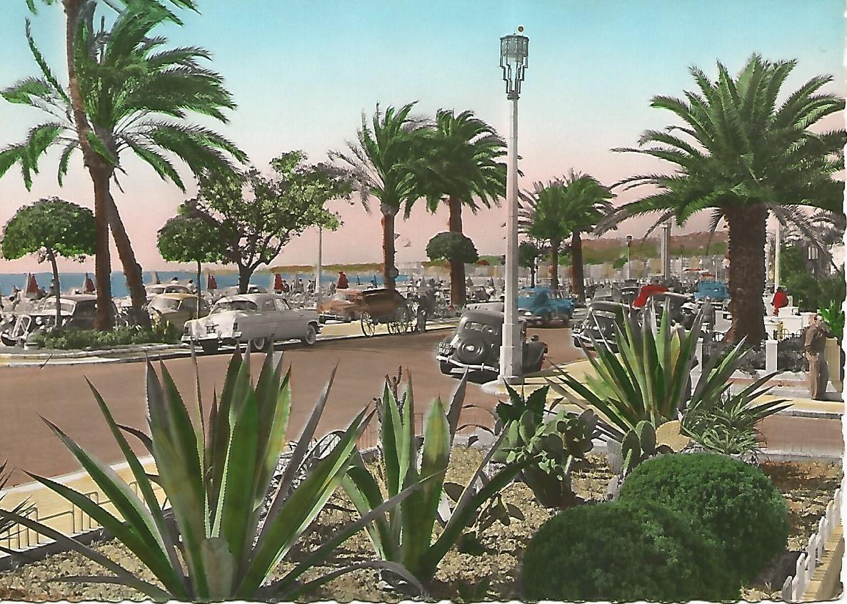 Postal 52389: NIZA - Vista parcial