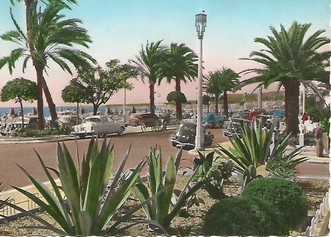 Postal 52389: NIZA - Vista parcial