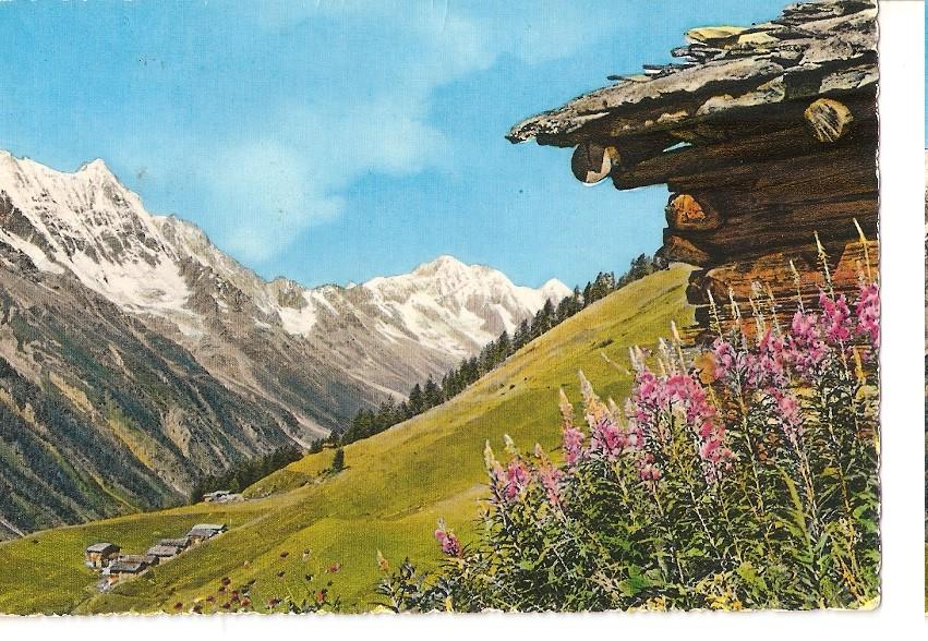 Postal 044364 : Cabaña en una ladera