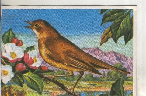 Cromos: Historia Natural numero 209