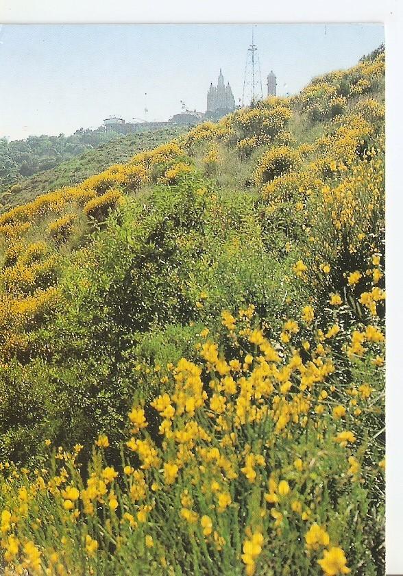Postal 033979 : Area metropolitana de Barcelona. Parc de Collserola